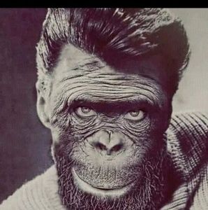 Meet your Posher, Jaime